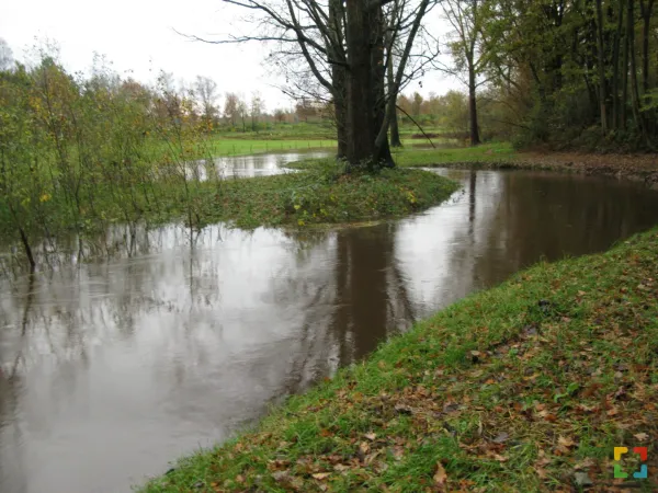 HALLO Online/Magazine HALLO Online.nl