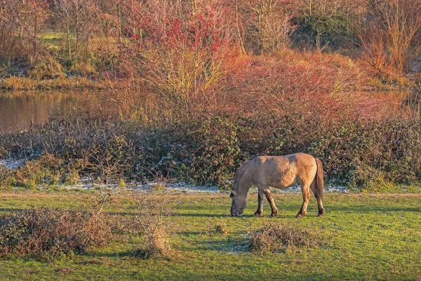 Foto: Bob Luijks
