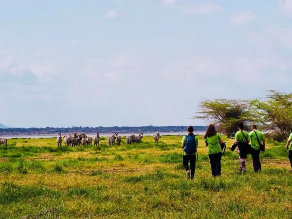Leerlingen van Sint Ursula trokken door Tanzania. Werken aan wereldburgerschap in ‘the land of peace’ HALLO Online.nl