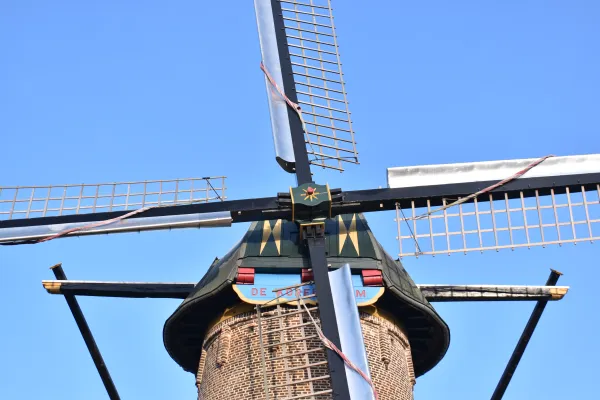 Het gezang van de Korenbloem Foto's: Miranda Vossen Het gezang van de Korenbloem