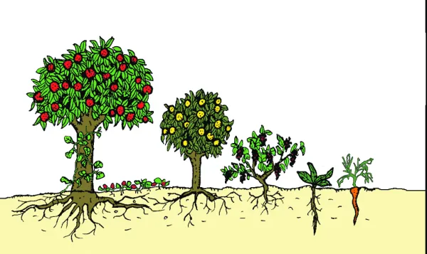 HALLO Magazine HALLO Online.nl HALLO Magazine HALLO Online.nl