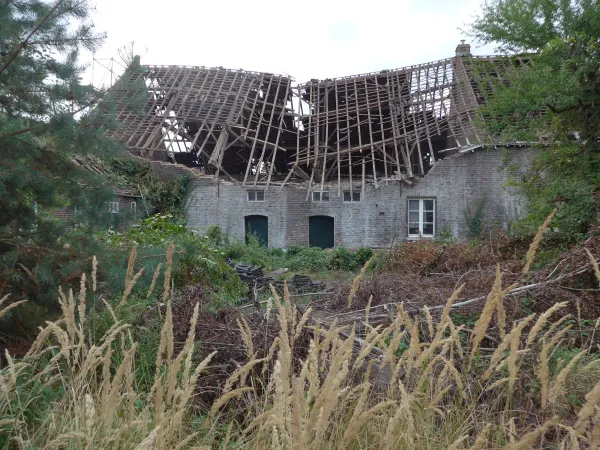 HALLO Magazine HALLO Online.nl HALLO Magazine HALLO Online.nl