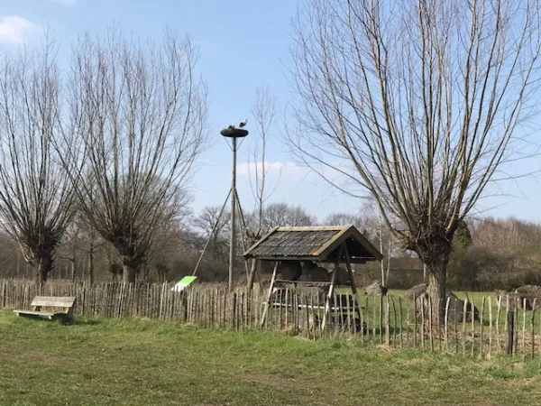 Ooievaarsnest HALLO Magazine Online.nl