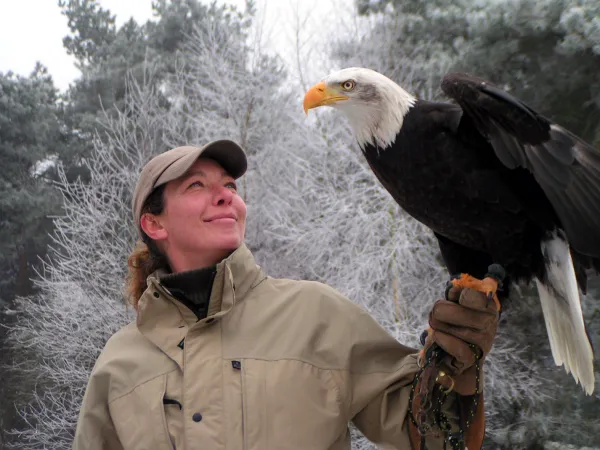 Hallo Magazine online / roofvogelshow