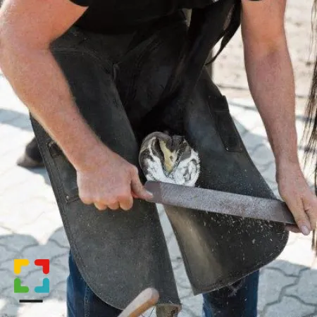 Het Wilde Westen in het zuiden Open dag bij Will's Ranch en Stichting Horse Sense HALLO Online.nl