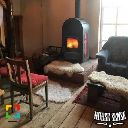 Het Wilde Westen in het zuiden Open dag bij Will's Ranch en Stichting Horse Sense HALLO Online.nl