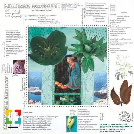 HALLO Online.nl HALLO Magazine