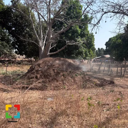 HALLO Magazine Online.nl