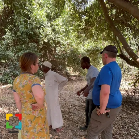 HALLO Magazine Online.nl