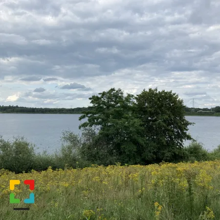 Hieël Hael timmert aan de weg Hallo Magazine Online