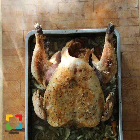 HALLO Magazine &amp; HALLO Online.nl