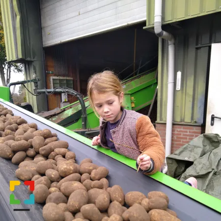 HALLO Magazine Online.nl  Aardappelen inschuren met JanneFoto: fam: Breukers