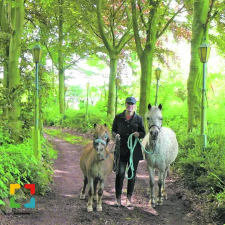 HALLO Magazine Online.nl HALLO Magazine Online.nl