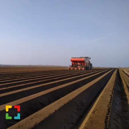 HALLO Magazine Online.nl Foto: fam: Breukers   Slowakije aardappelen poten op de uitgestrekte akkers