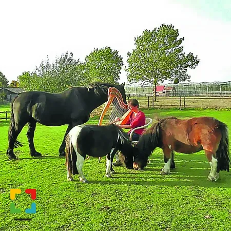 HALLO Online.nl foto Jolanda