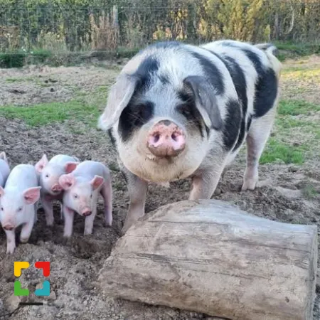 HALLO Magazine Online.nl / Foto: Familie Tacken