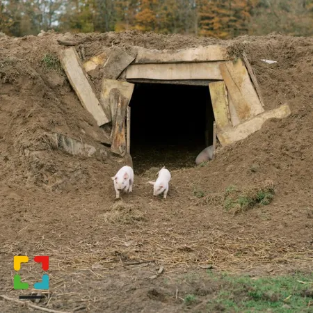 HALLO Magazine Online.nl / Foto: Familie Tacken