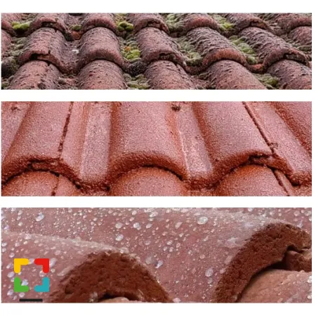 Hallo Magazine online / ZAKENPRAAT: Reinigingsdienst Limburg is een jong en veelzijdig schoonmaakbedrijf