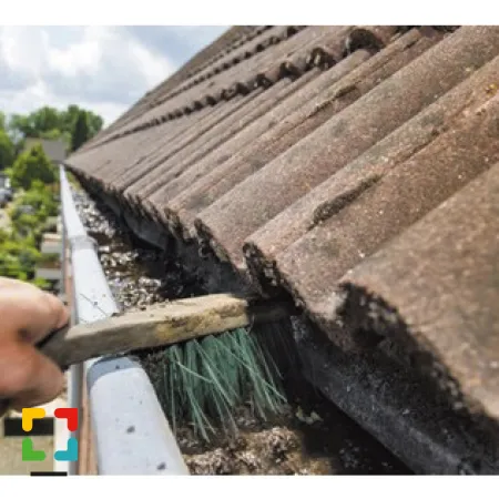 Hallo Magazine online / ZAKENPRAAT: Reinigingsdienst Limburg is een jong en veelzijdig schoonmaakbedrijf