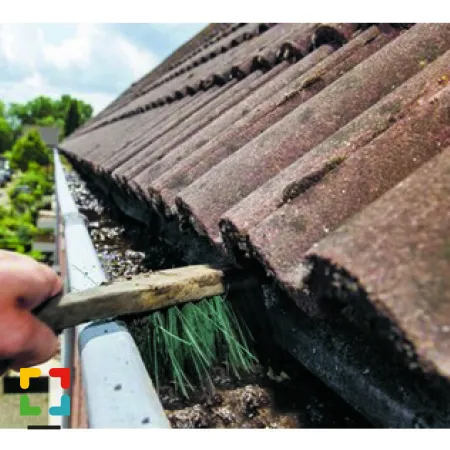 Hallo Magazine online / ZAKENPRAAT: Reinigingsdienst Limburg is een jong en veelzijdig schoonmaakbedrijf