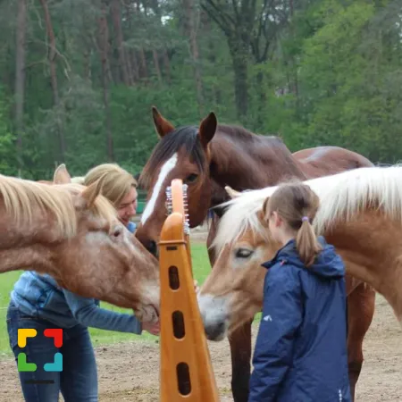 HALLO Online.nl foto Jolanda