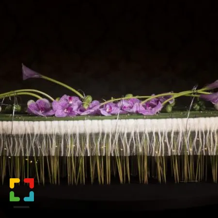 HALLO Online.nl HALLO Magazine