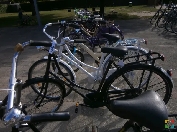 HALLO Online/Magazine Tweedehands fietsenmarkt in Kelpen- Oler HALLO Online.nl