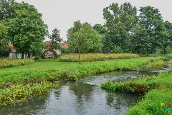 HALLO Online.nl / Foto Anja Matheeuwsen: Water laat zich overal zien in het Grenspark Kempen~Broek. HALLO Online.nl / Foto Anja Matheeuwsen: Water laat zich overal zien in het Grenspark Kempen~Broek.