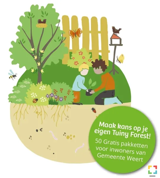 HALLO Online.nl