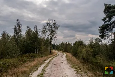 HALLO Online/Magazine HALLO Online.nl