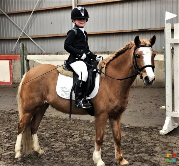 HALLO nline.nl Nika met Mira van Stal Cuijpers