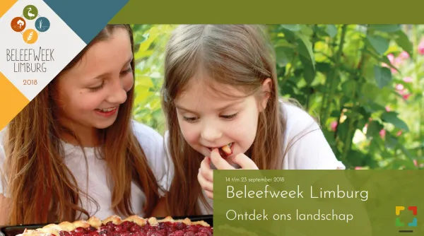 HALLO Online.nl