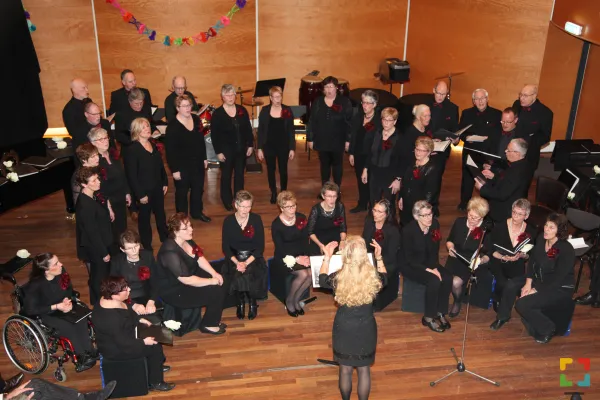 HALLO Online/Magazine HALLO Online.nl