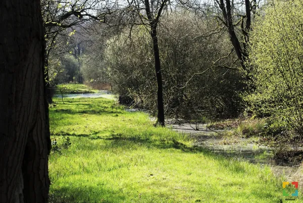 foto: IVN WeertHALLO Magazine Online.nl