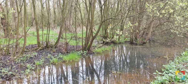 Fotobijschrift: Het drassige Vijverbroek heeft voor een aantal volksverhalen gezorgd (foto: Cliotravel).