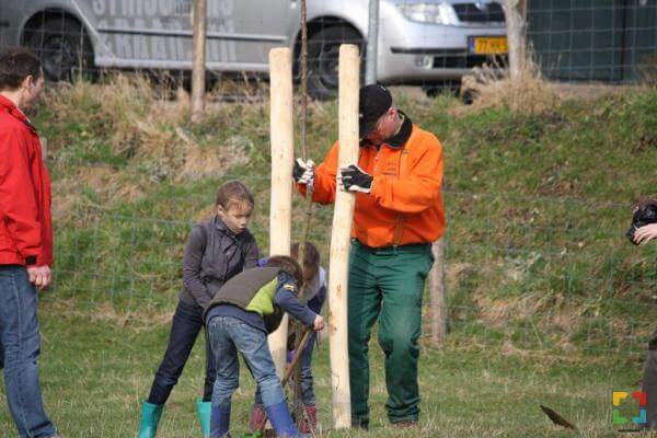 Plantactie in de gemeenten Maasgouw en Leudal