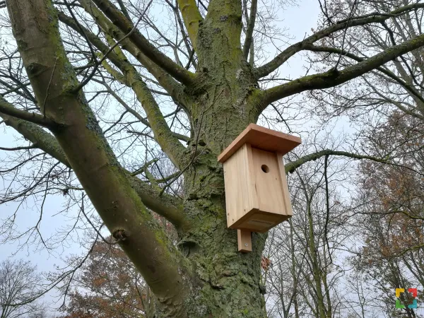 HALLO Online.nl