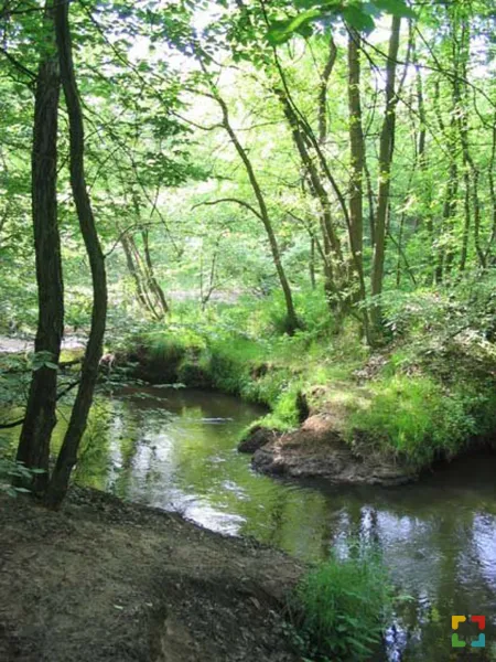 HALLO Online.nl HALLO Online.nl