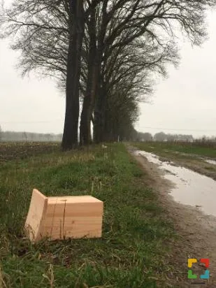 HALLO Online.nl