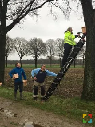 HALLO Online.nl
