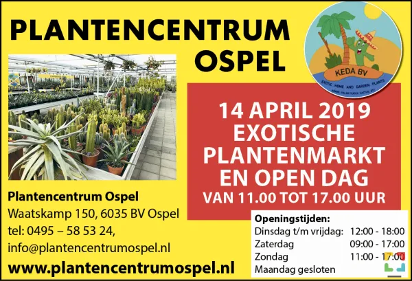 HALLO Online.nl