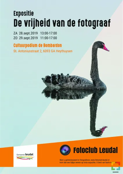 HALLO Online.nl