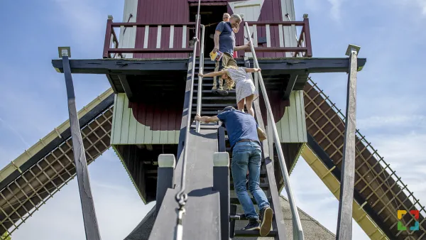 HALLO Online.nl
