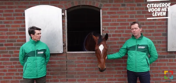 HALLO Online.nl & HALLO Magazine