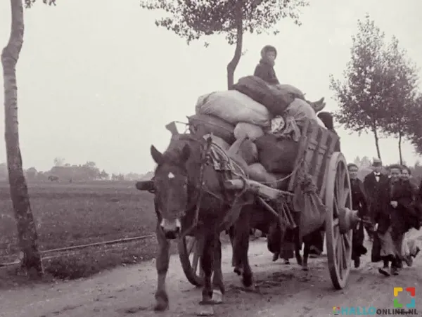 Bekroonde film GRENSGEVAL vanHALLO Online.nl Peter Crins te zien in Leveroy  HALLO Online.nl