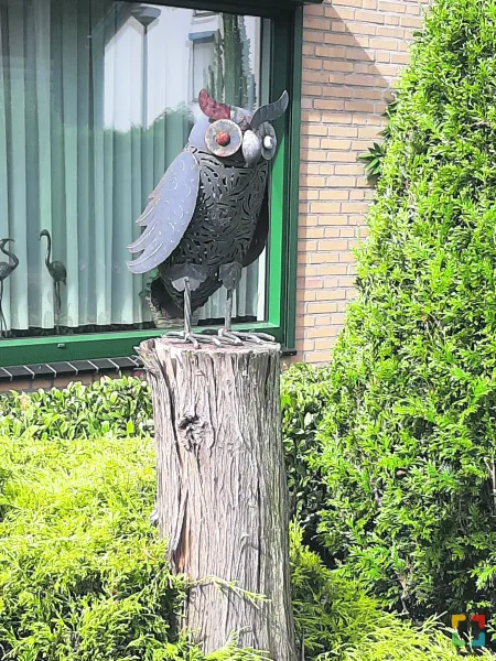 HALLO Online/Magazine HALLO Online.nl