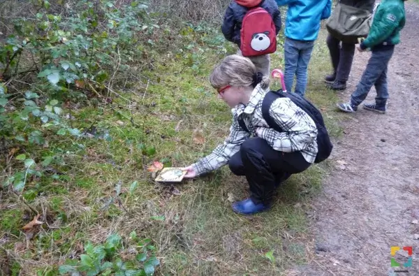 Alle kinderen naar buiten: Paddenstoelen zoeken
