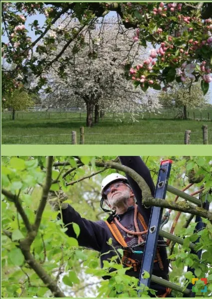 HALLO Online.nl