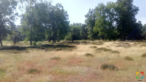 HALLO Online.nl foto: wandelroute.nl HALLO Online.nl