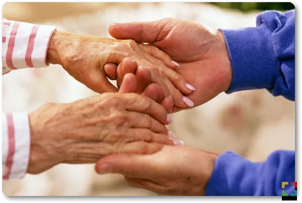 HALLO Online-Hallo MAgazine/Zonnebloem